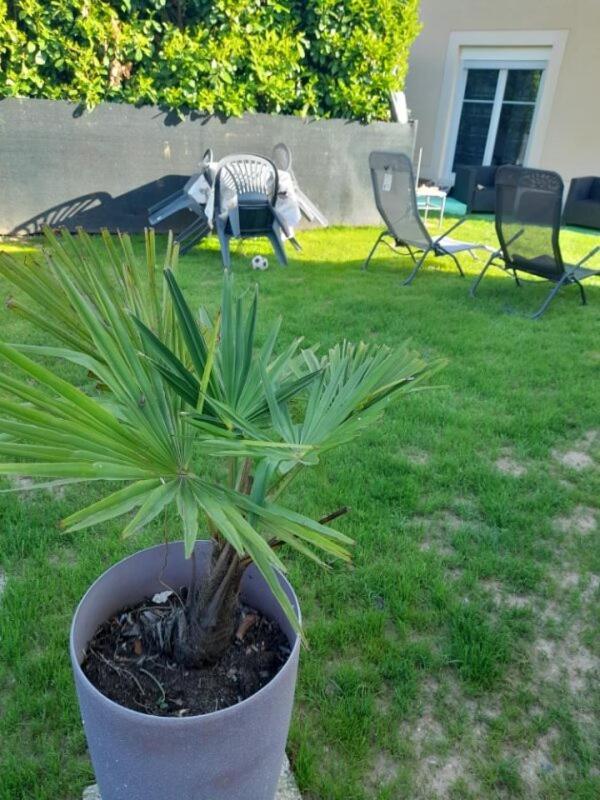 Family House Holiday home Beauvais